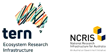 TERN_logo