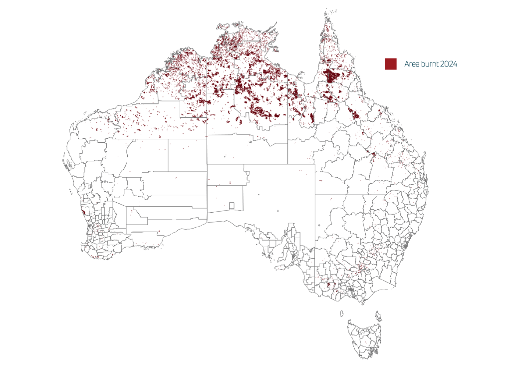 Areas burnt in 2024