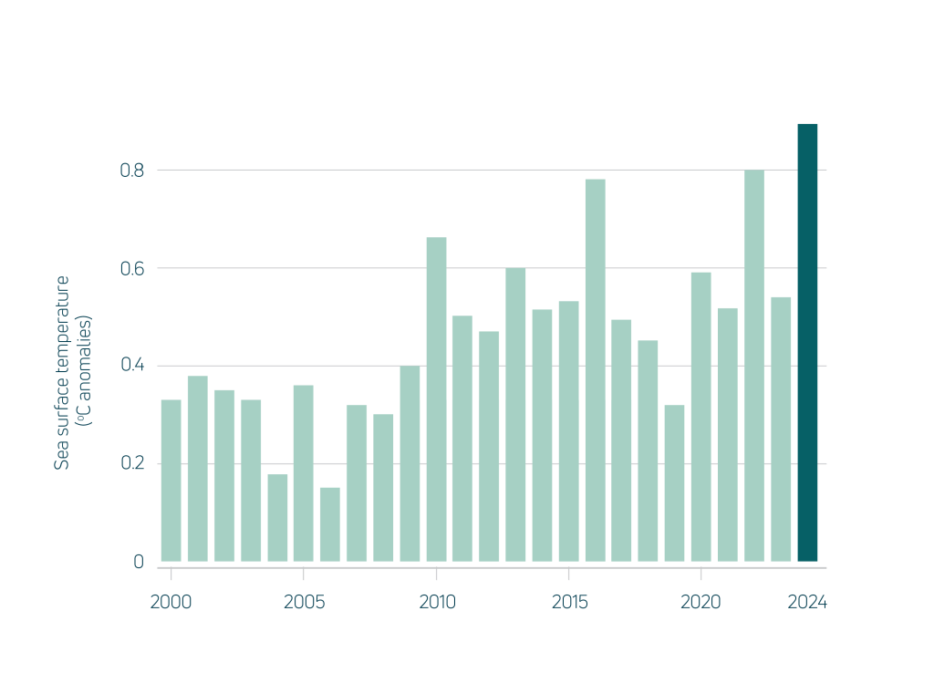 Australian region average sea surface temperature (difference from 1961–1990 average) (BoM / NOAA)