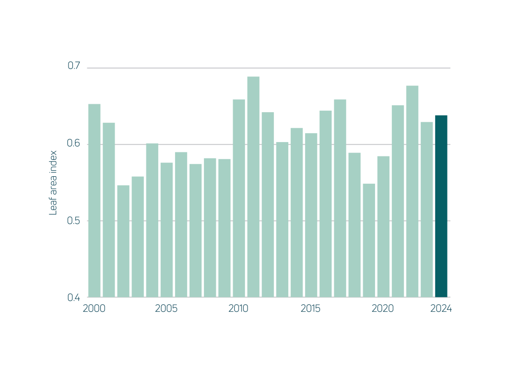 National average leaf area index